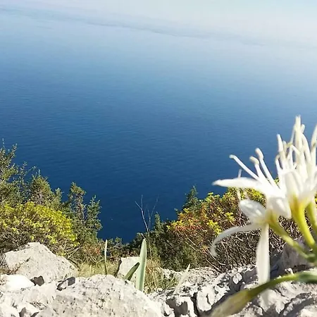 Casa Sacu, Tra Mare E Montagna Dorgali