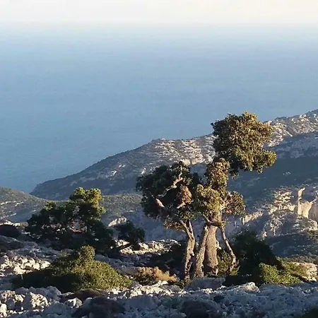 Casa Sacu, Tra Mare E Montagna Dorgali