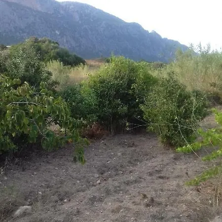Casa Sacu, Tra Mare E Montagna Dorgali