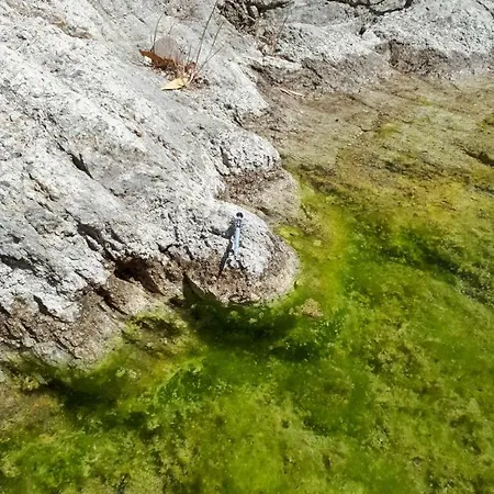 Lejlighed Casa Sacu, Tra Mare E Montagna